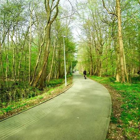 Polanki 205 דירה