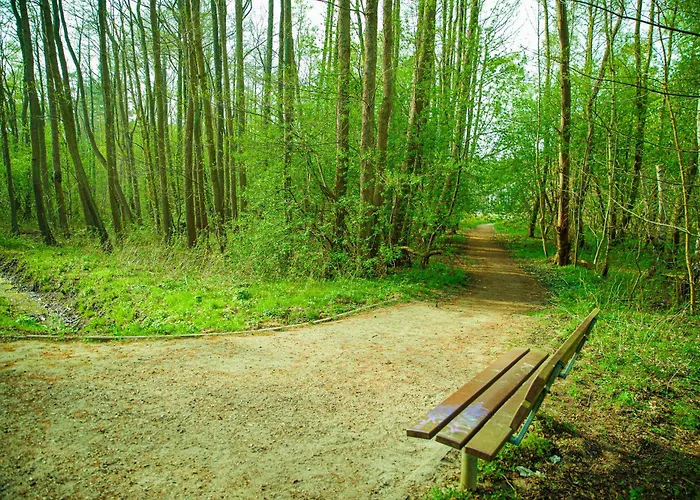 Polanki 205 Apartment *