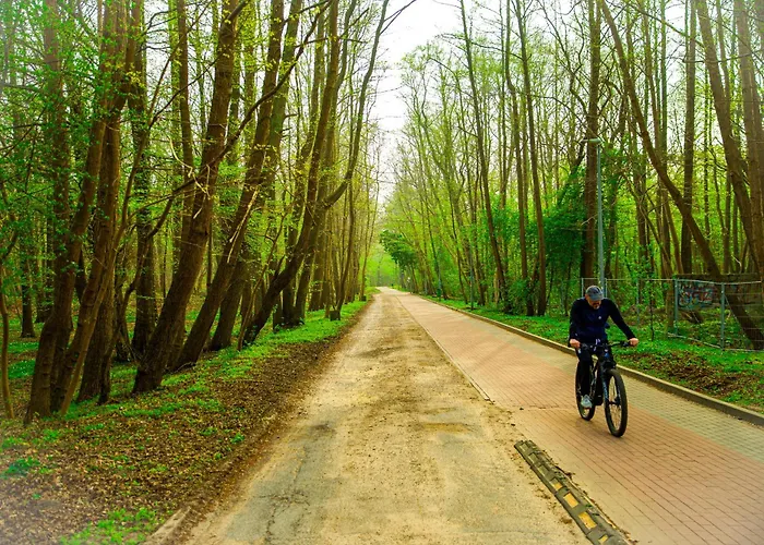 Apartment Polanki 205 *